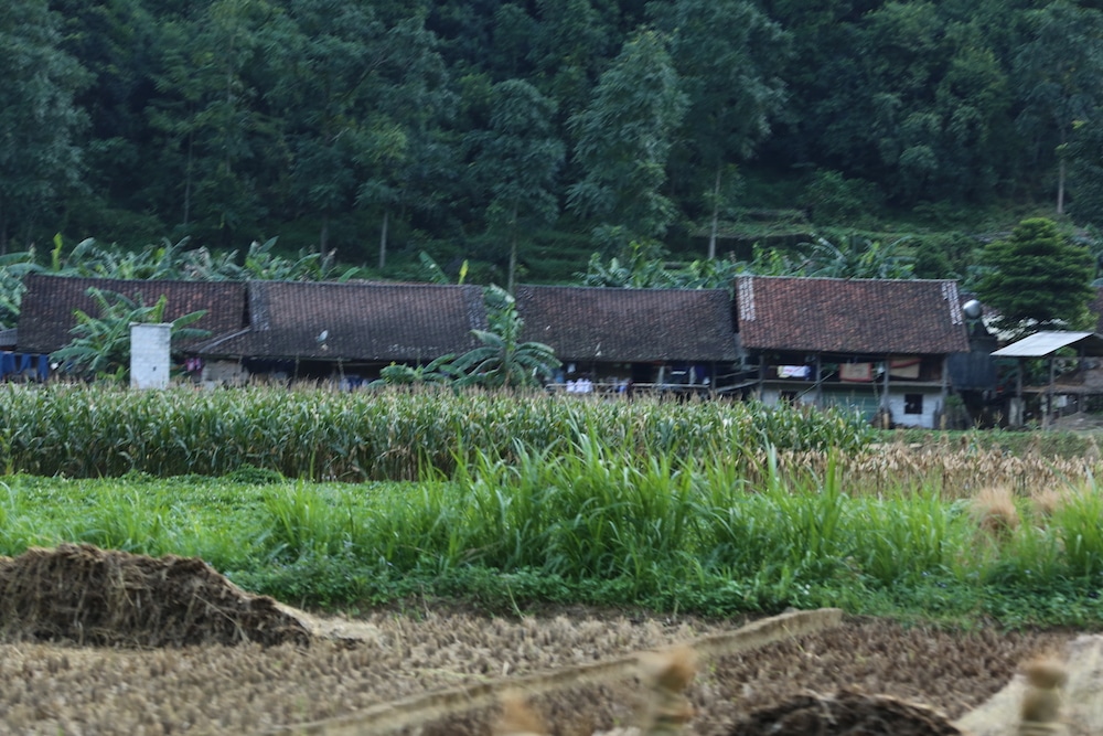 Cycling the Border Belt Cao Bang Tour 4 Days